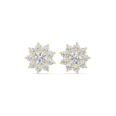 Hayley Diamond Earring