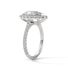 Alessia Halo Ring